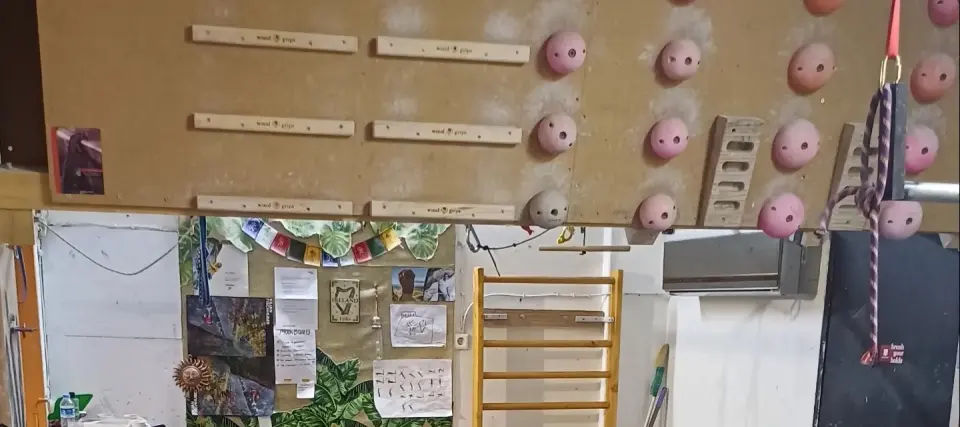 Overhead training board with wooden campus rungs, pinch balls and edge blocks above wall bars