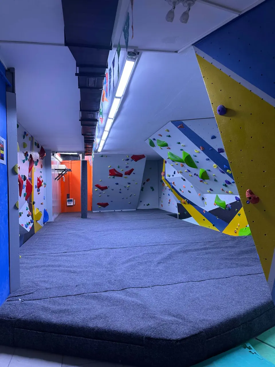 Bouldering room with deep grey matting between walls of colourful holds and volumes