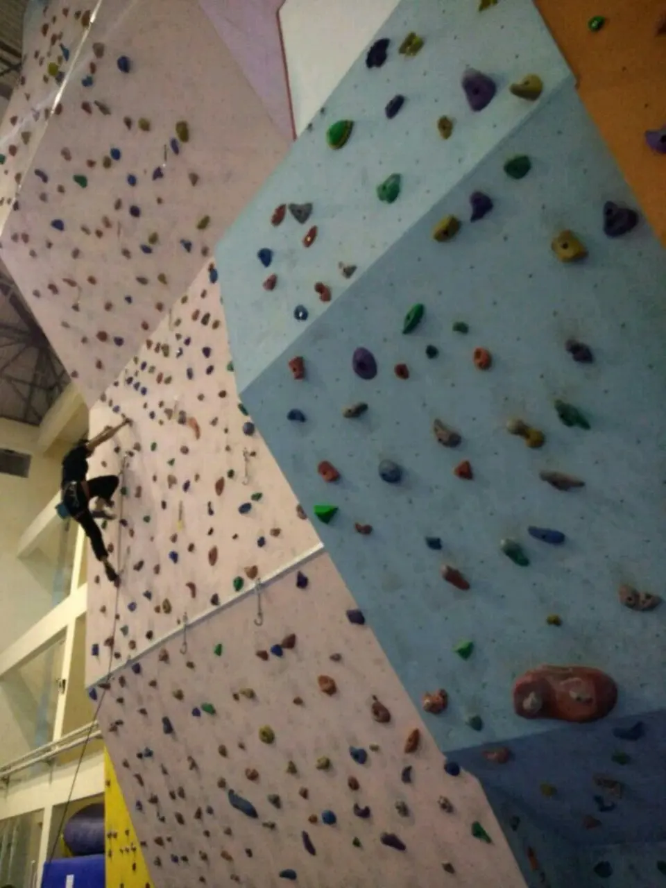 Climber on a rope high on the pale wall, next to a blue panel with large holds