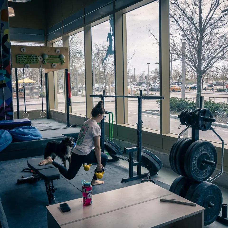Training corner by the windows with a weight bench, rack and barbell plates