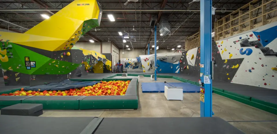 Bouldering hall with a yellow and green dragon-shaped boulder above a foam pit