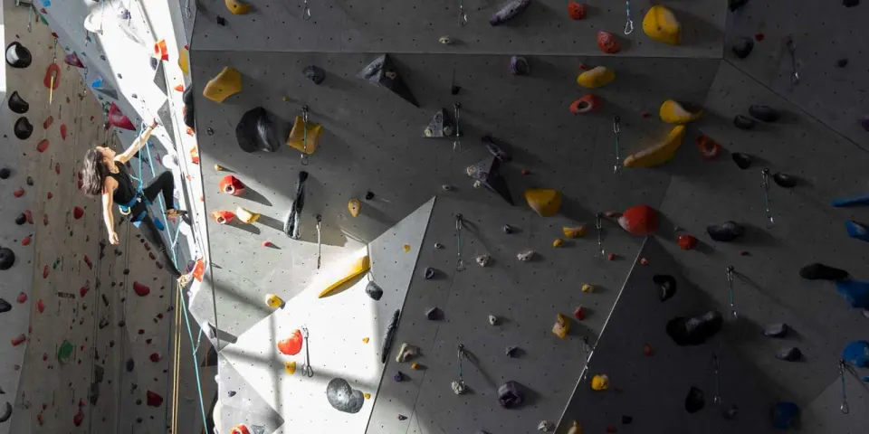Climber on a sunlit grey lead wall with quickdraws and bright holds