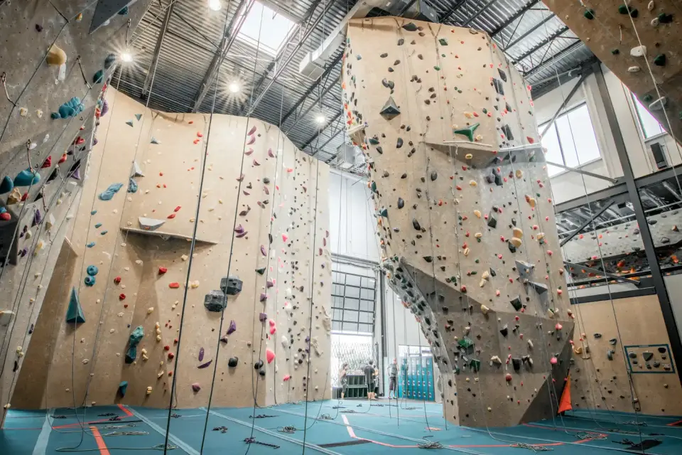 Roped walls and a tall climbing tower under skylights