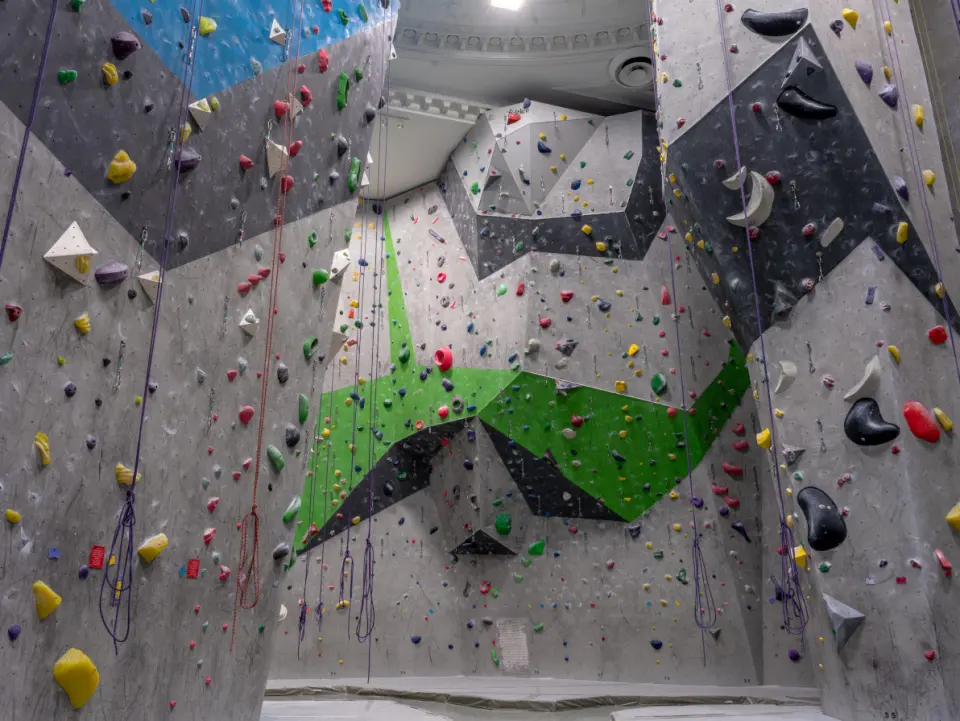 Tall roped climbing walls with green and grey panels beneath an ornate plaster ceiling