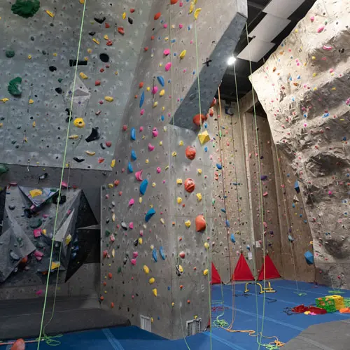 Tall roped walls with hanging ropes above a blue floor
