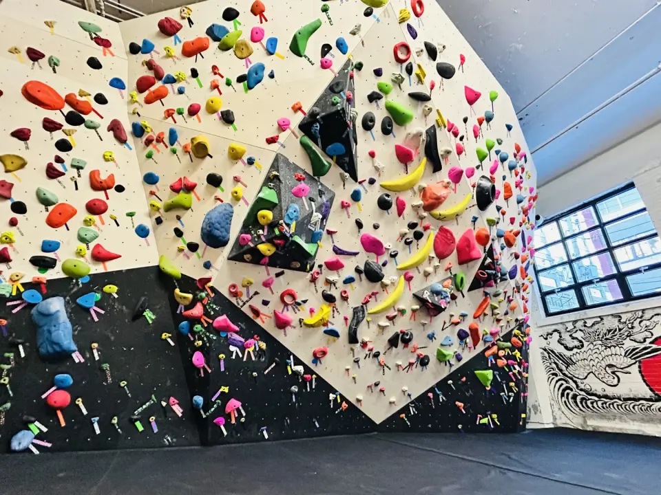 Bouldering wall covered in colourful holds and black volumes beside a large window
