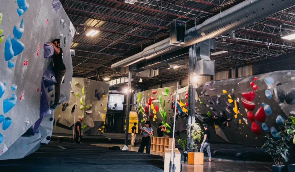 Bouldering hall with grey and black walls, bright holds, plants and climbers on the mats