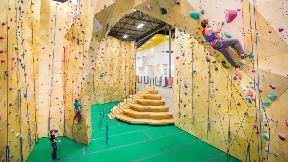 Tall roped walls with climbers above a green floor and wooden bleacher steps