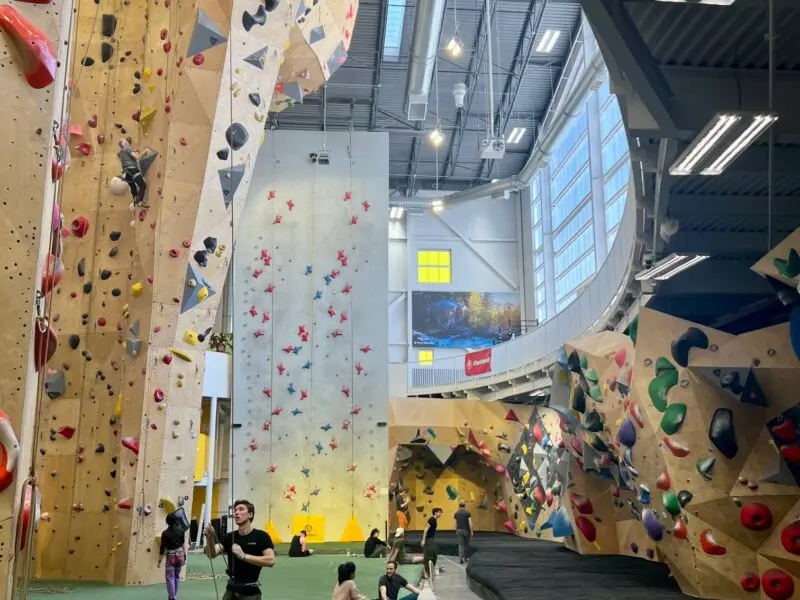 Speed wall with red holds between the roped walls and the bouldering area