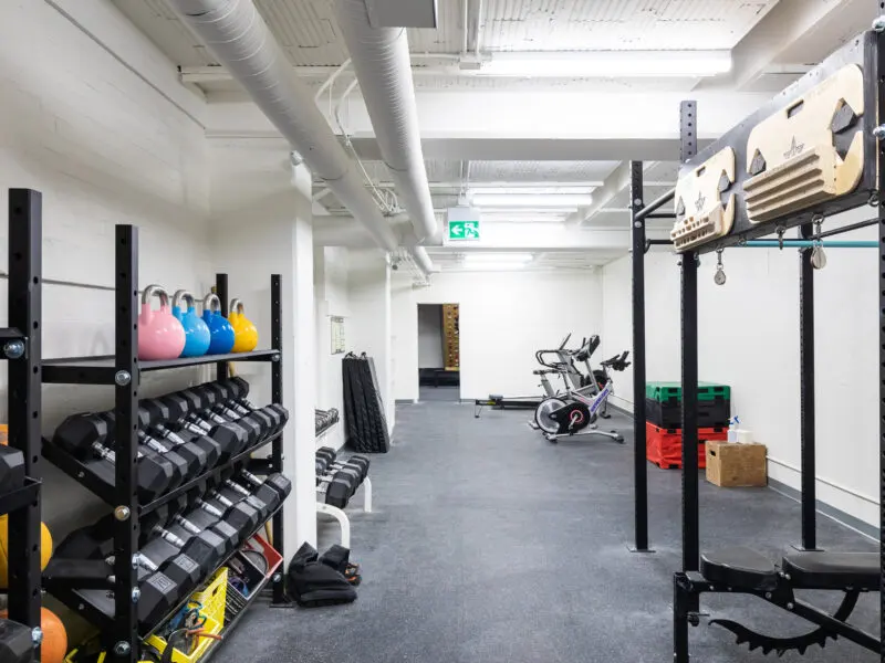 Workout area with dumbbells, kettlebells, a rig with hangboards and exercise bikes
