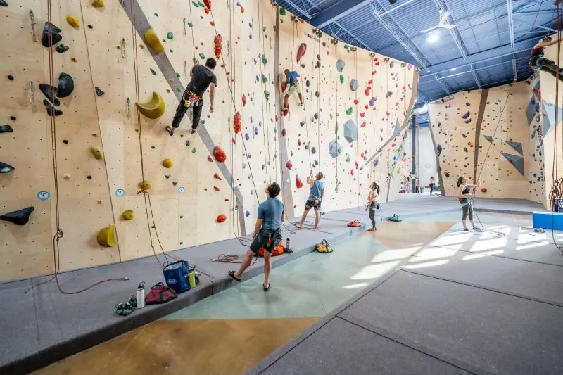 Climbers on a long run of tall roped walls in a bright, high-ceilinged hall