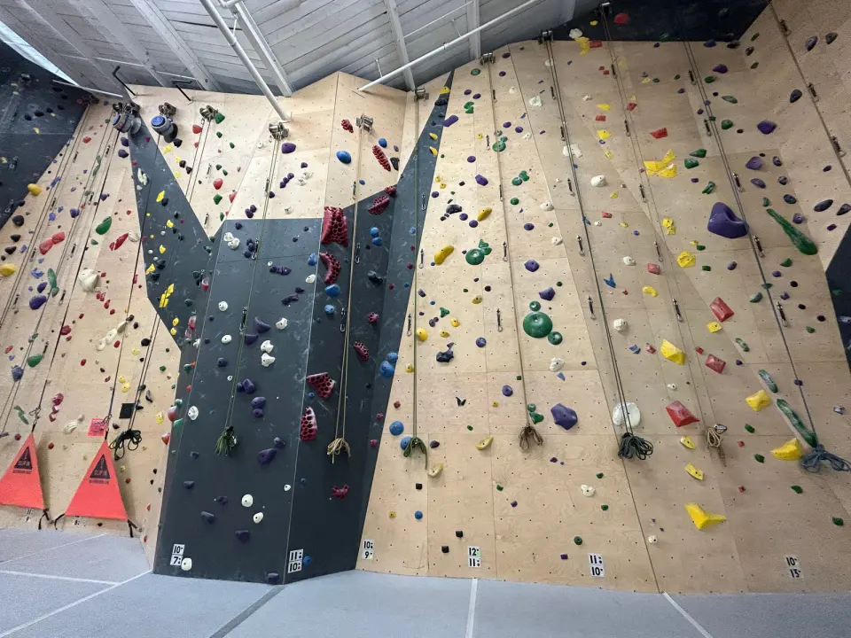 Tall plywood and grey roped walls with auto-belays and hanging top ropes