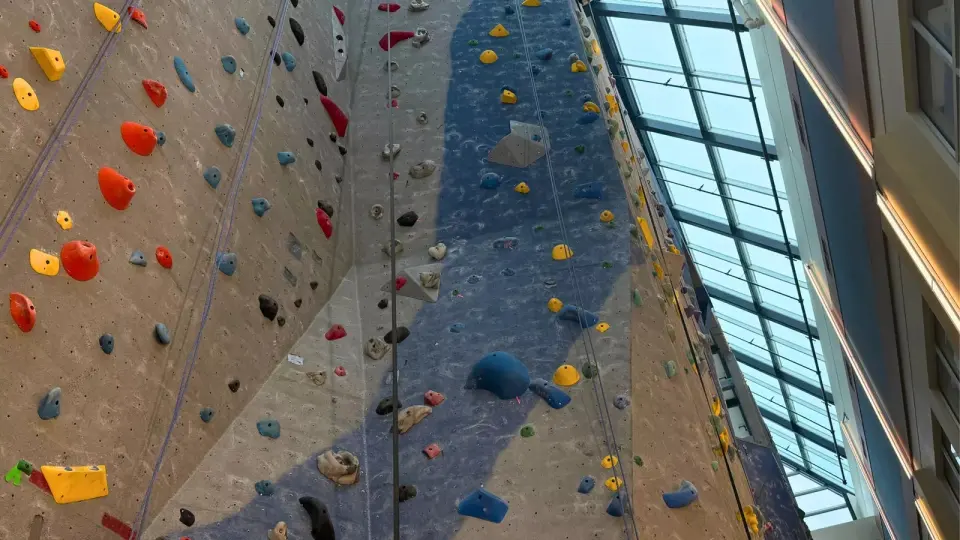 Tall roped climbing walls with top ropes and coloured holds, rising towards a glass roof