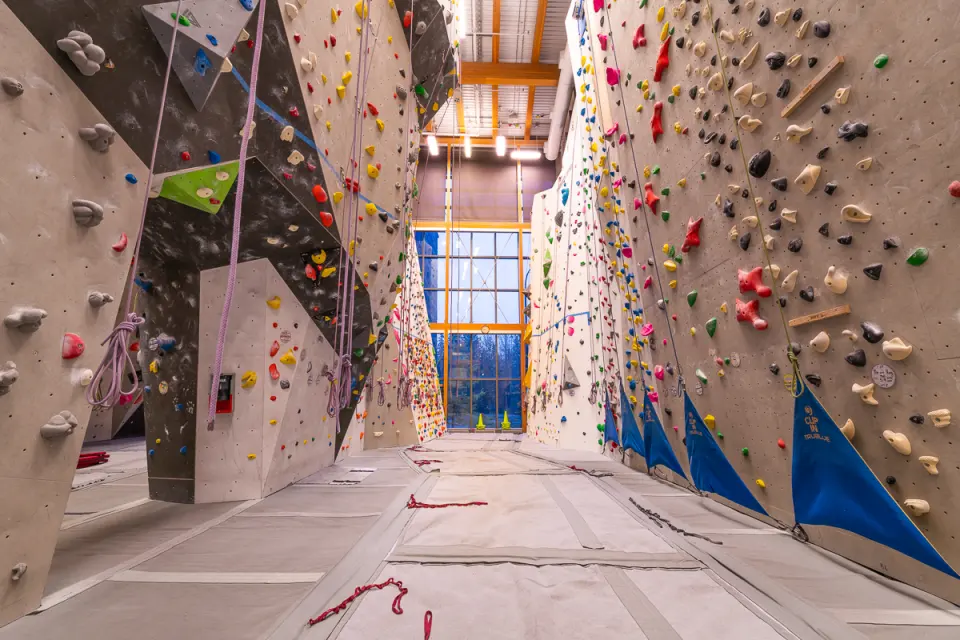 Aisle between tall roped walls with auto-belay flags, below a tall window
