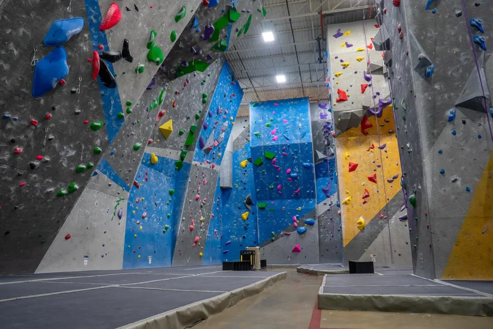 Tall roped walls in blue, grey and yellow with quickdraws, above padded matting