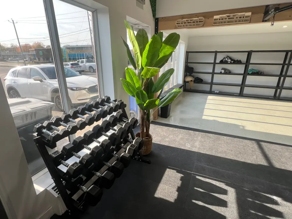 Dumbbell rack by large windows, with hangboards mounted above the cubby shelves