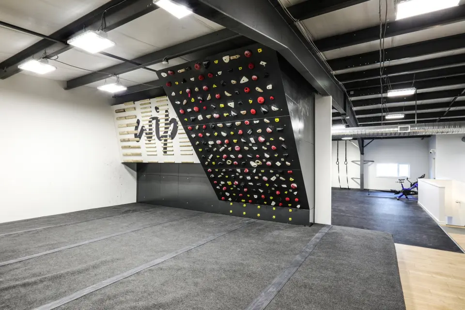 Training board above matting, with the fitness area and rings beyond
