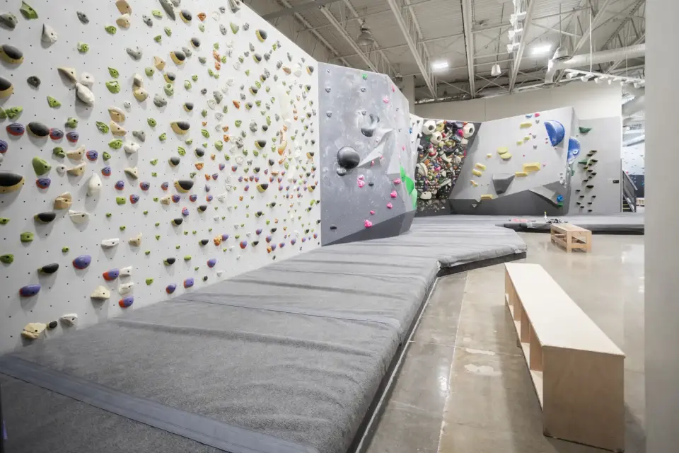 Long, densely set bouldering wall above thick grey matting at Hive Surrey