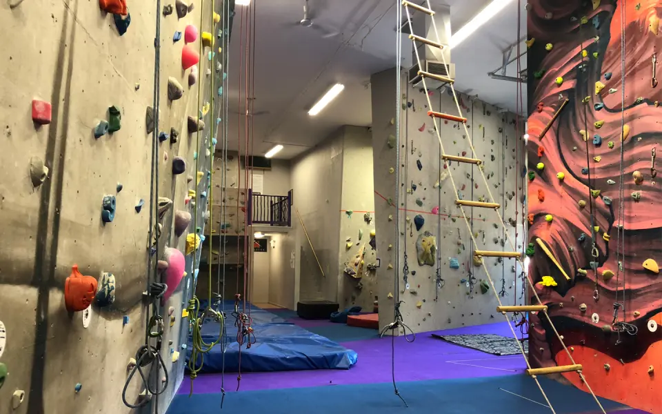 Roped climbing walls with a rope ladder and blue and purple matting