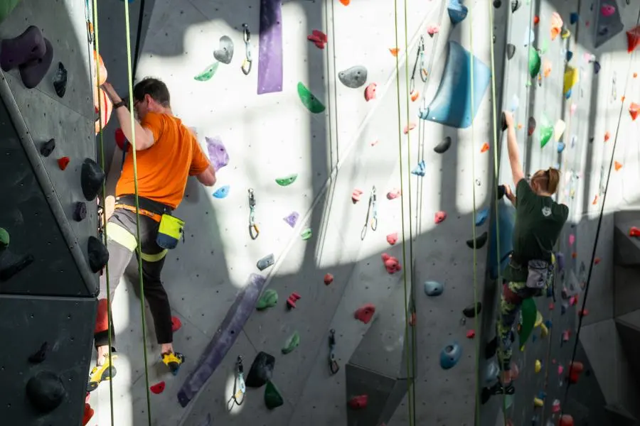 Two climbers on the sunlit lead wall, with quickdraws hanging from the bolts