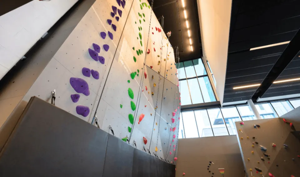 Top-rope wall seen from below, next to tall windows