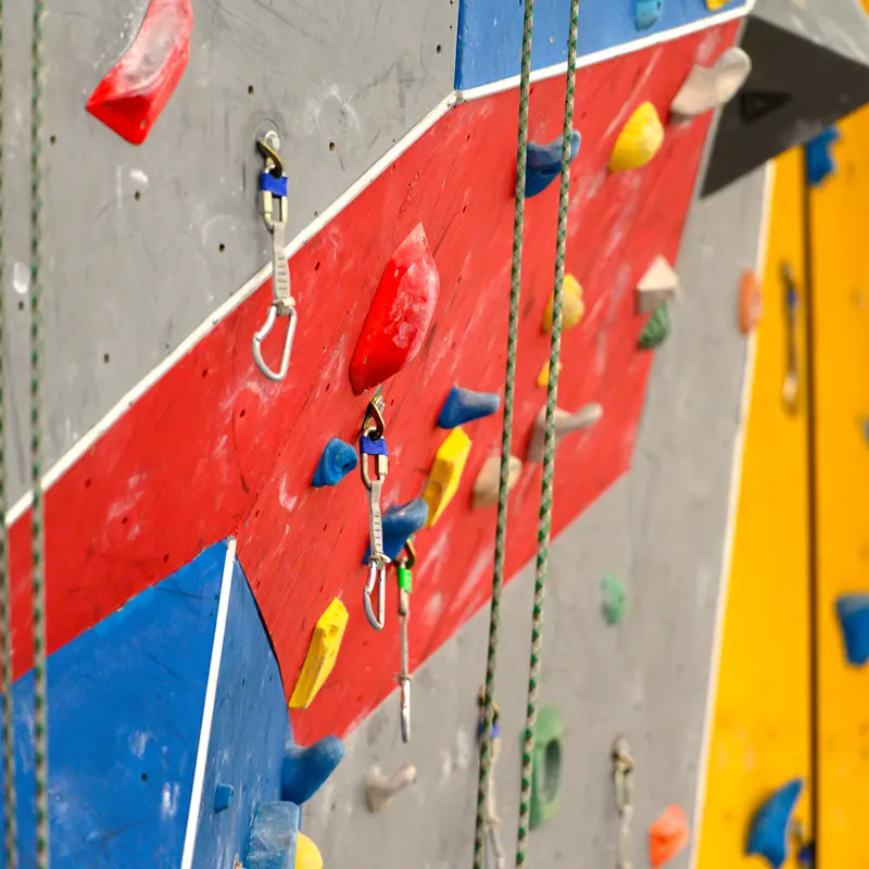 Quickdraws and ropes on the coloured panels of the lead wall