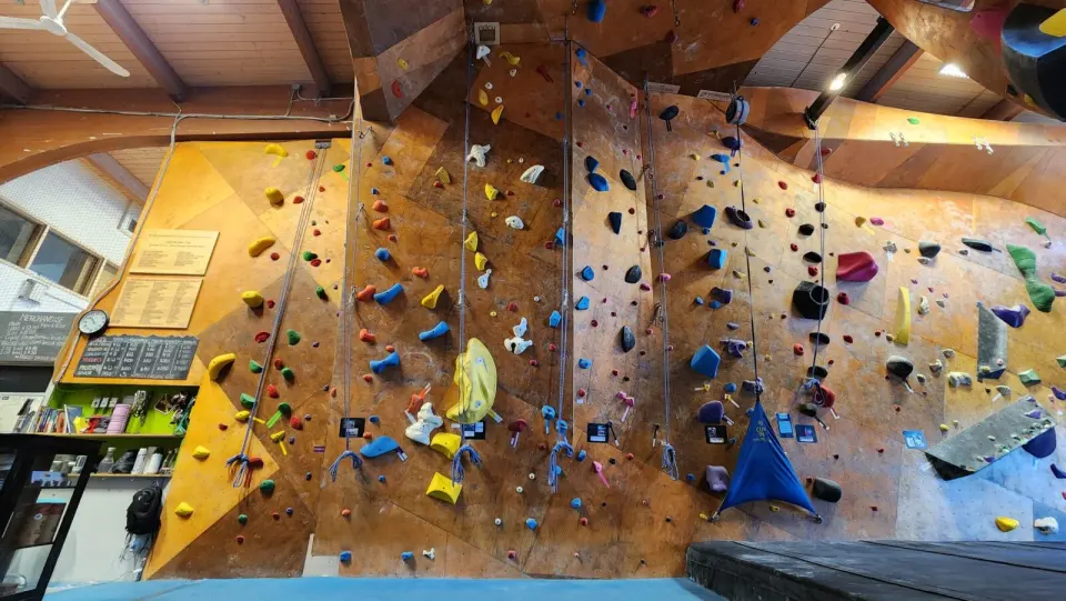 Wide view of tall plywood roped walls with colourful holds and volumes under a timber roof