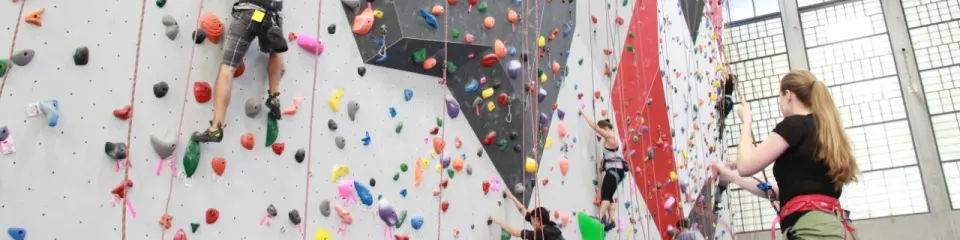 Climbers and belayers along the roped wall beside tall windows