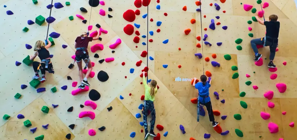 Young climbers on auto-belay lines across a plywood wall covered in colourful holds