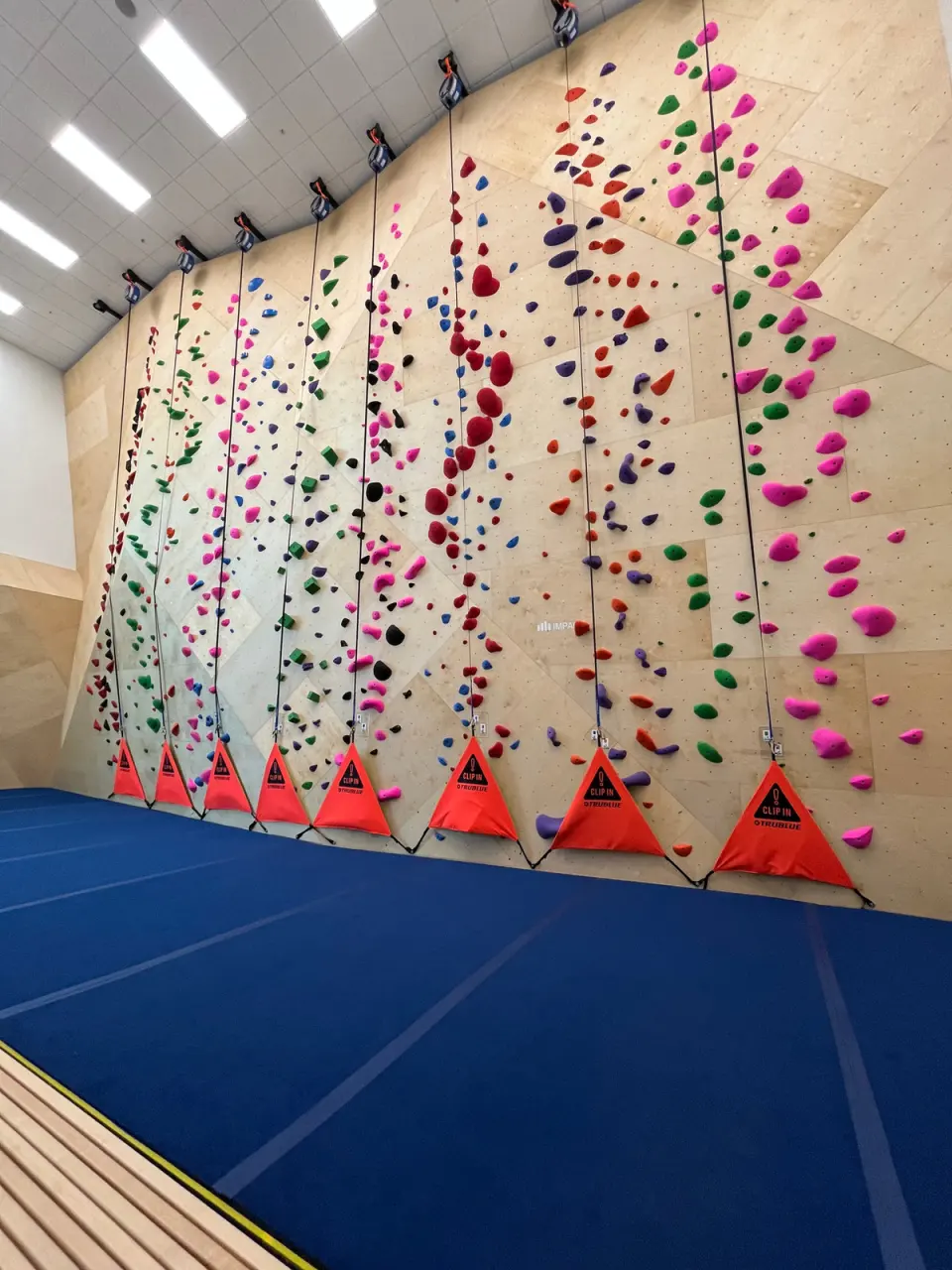 Plywood climbing wall with eight auto-belays and orange clip-in flags above blue matting