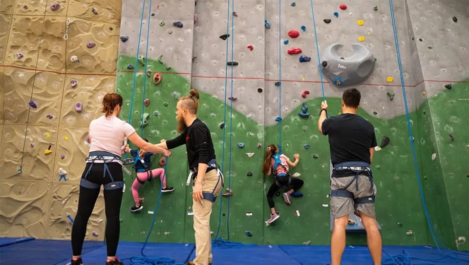 Belayers holding ropes for young climbers on a grey and green top-rope wall