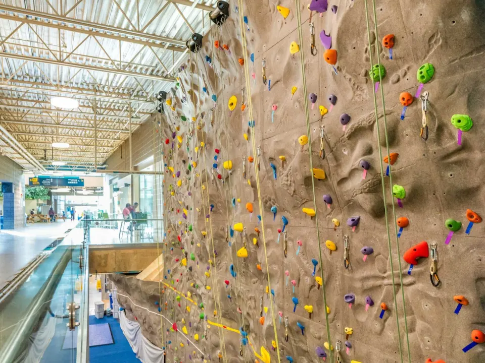 Tall textured climbing wall with ropes and colourful holds beside a glass-railed walkway