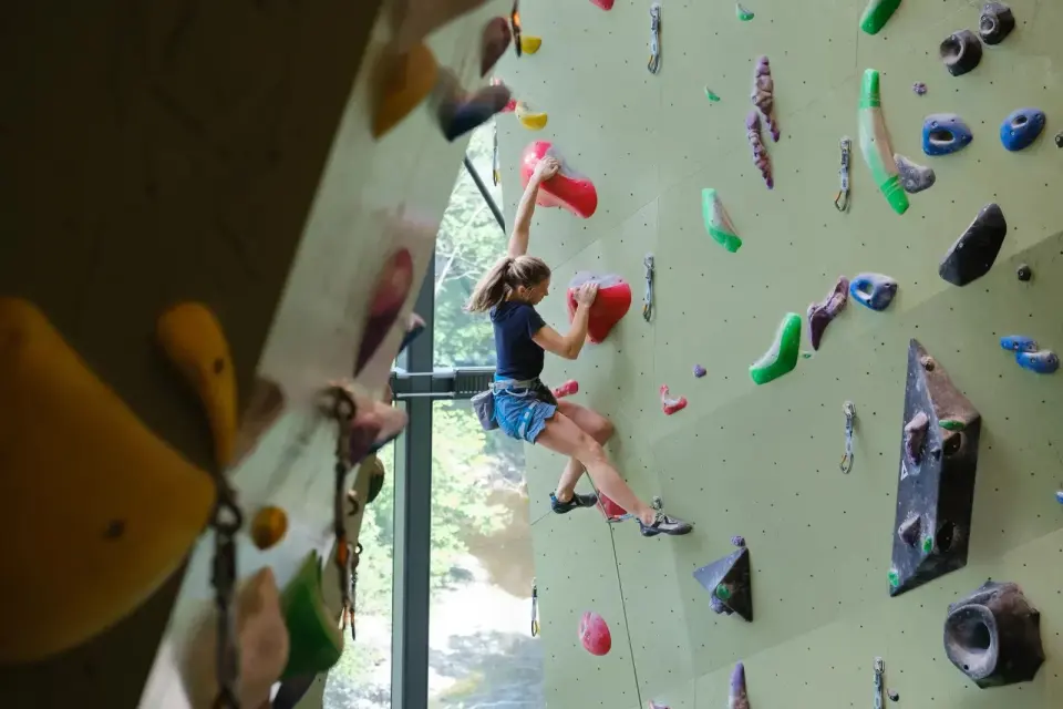 Climber on a tall pale green wall, with large windows and trees behind