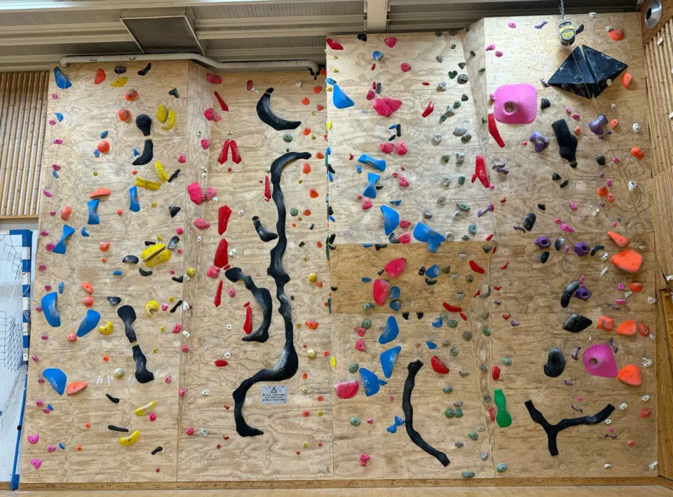 Plywood climbing wall with coloured holds and black volumes in a school gym hall