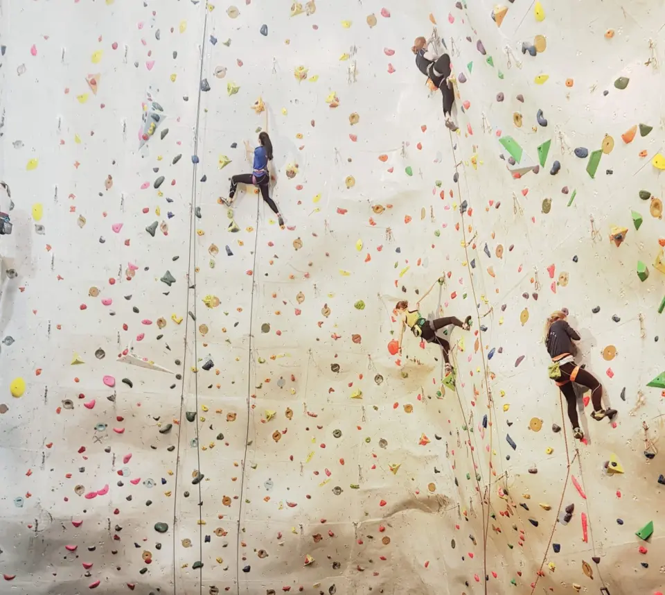 Several climbers on top ropes spread across the tall, hold-covered main wall