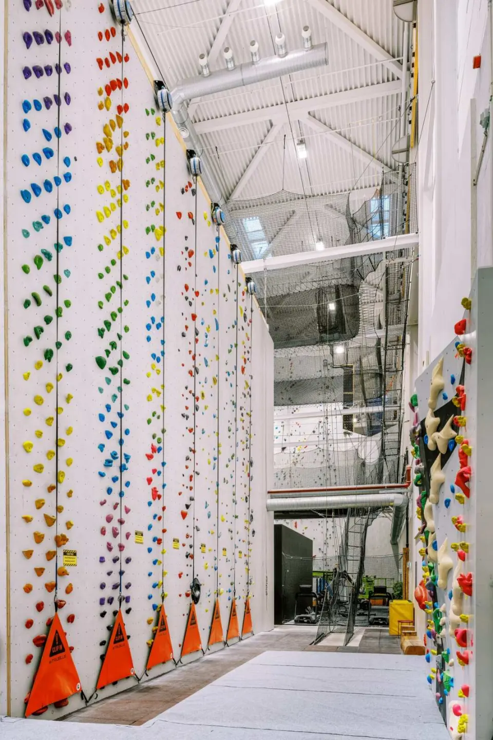 The 21 m rope wall rising to the roof, lined with colourful routes