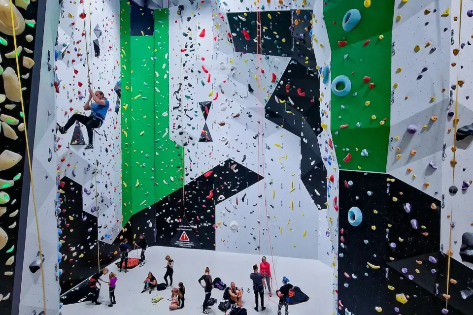 Tall rope-climbing hall with green, white and black walls, a climber high up and groups on the floor below