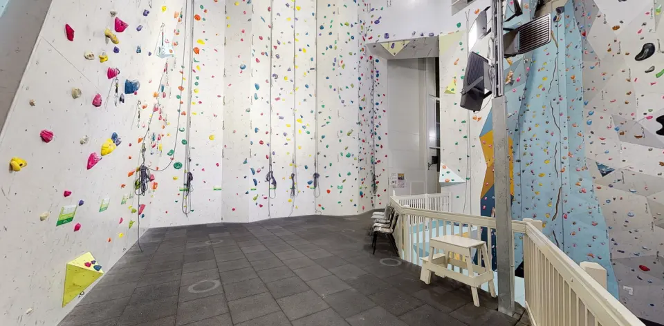 Tall roped walls with hanging top ropes on the mezzanine, above a railing over the bouldering area