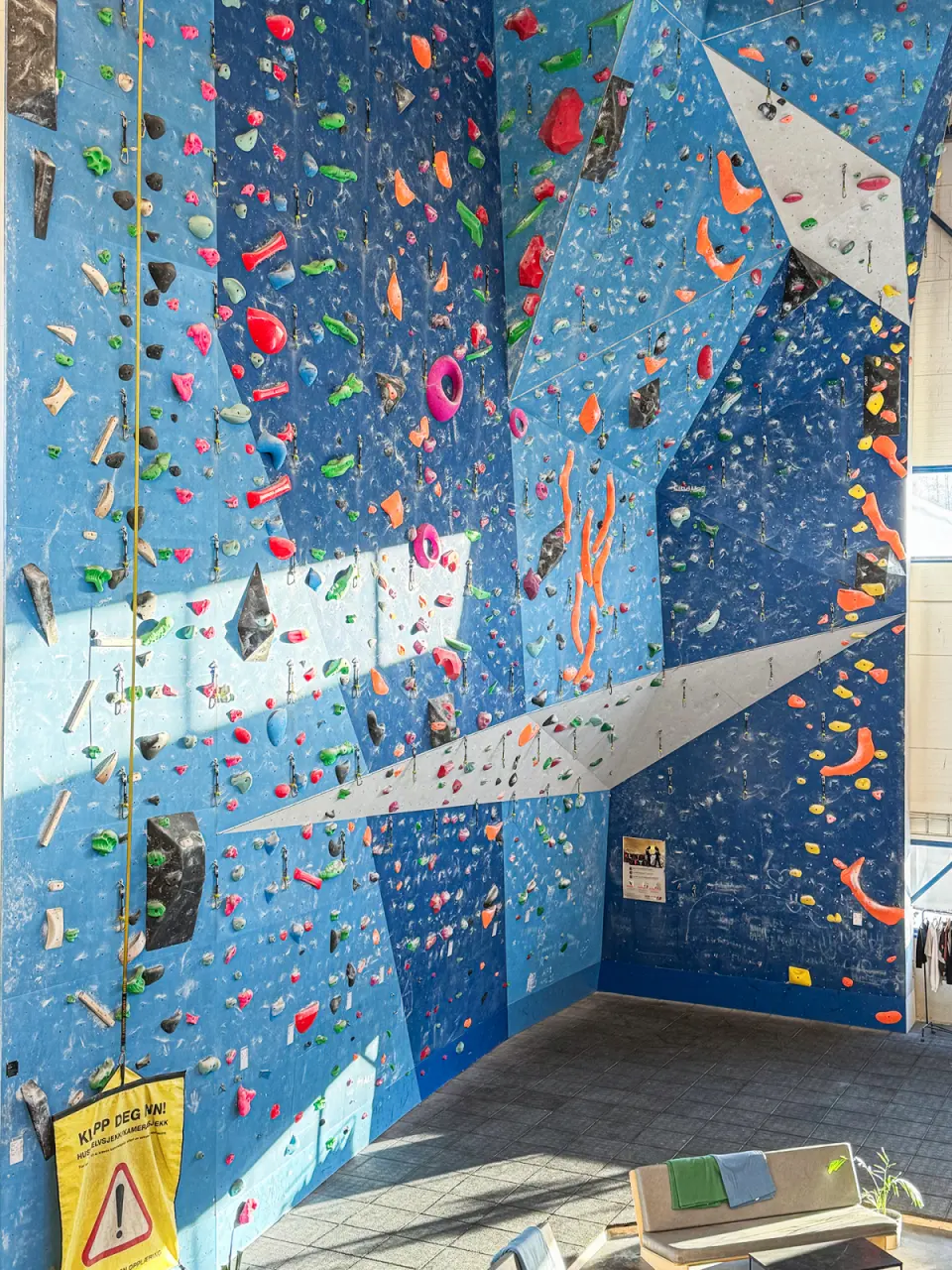 Tall blue rope wall with quickdraws and colourful holds in a sunlit corner