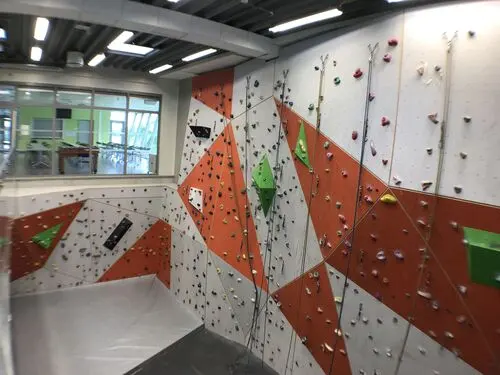 Climbing room with the roped wall and a low bouldering wall above grey matting