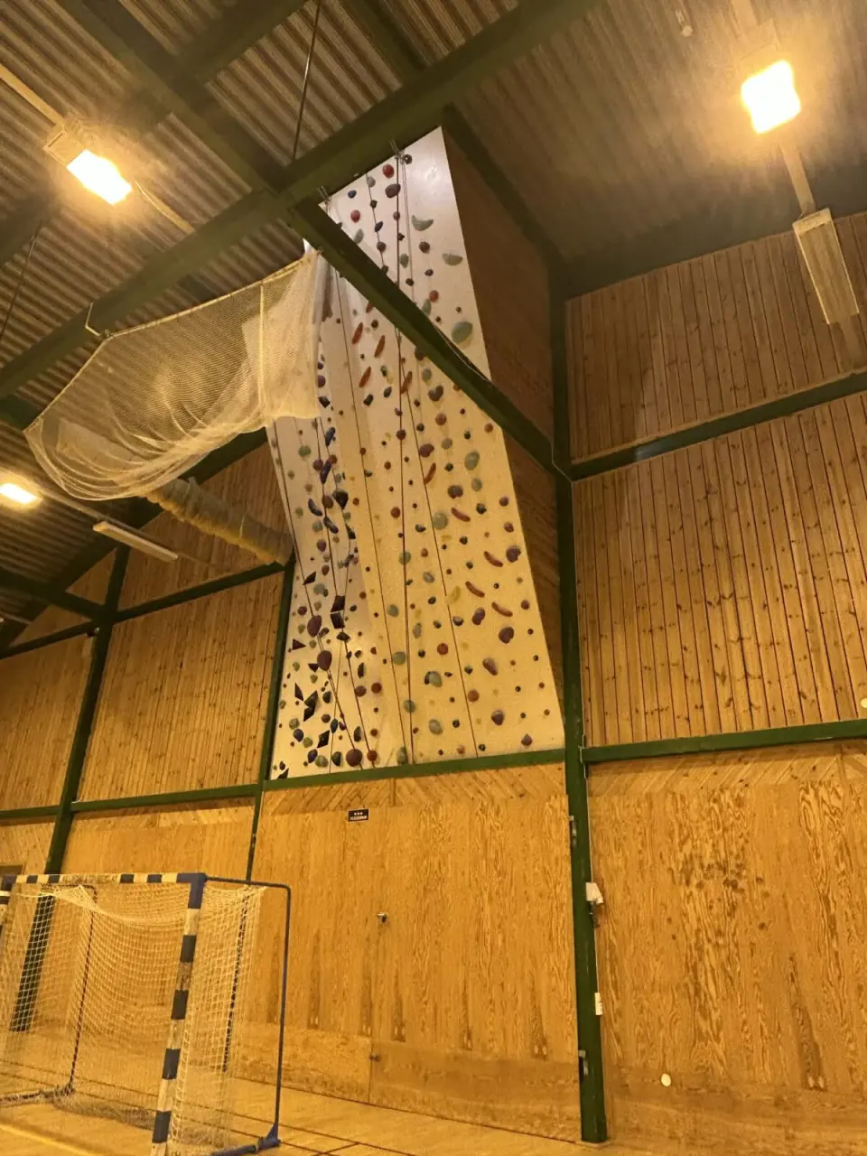 Tall roped climbing wall rising to the roof of a sports hall above a handball goal