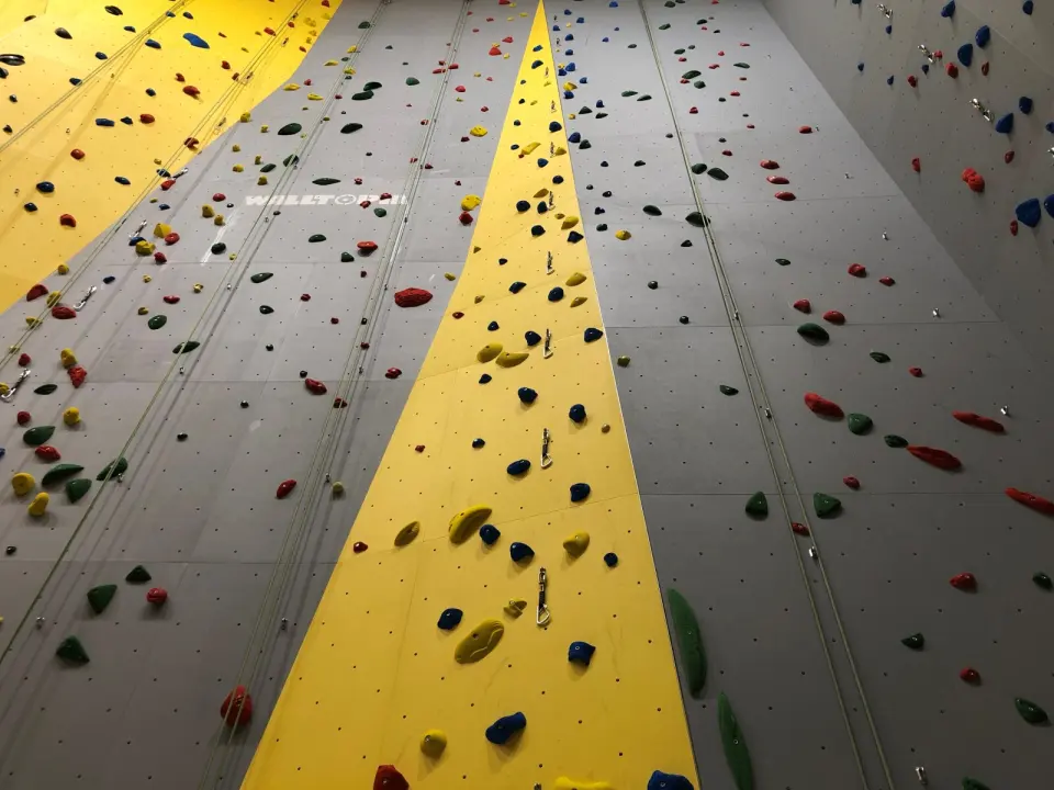 Looking up the grey and yellow rope wall with quickdraws and coloured holds