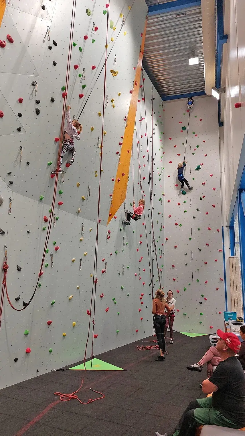 Climbers on top ropes and an auto-belay on the full-height wall, with belayers on the matting below