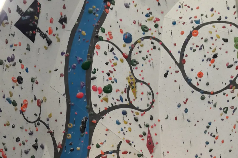 Lead wall covered in colourful holds, with a blue tree mural