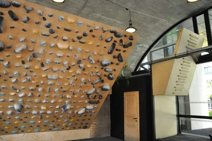 Training board and a campus board under the arched concrete ceiling