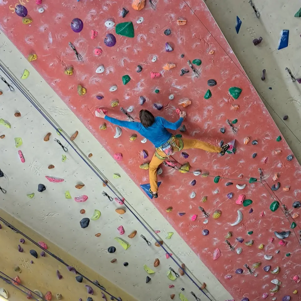 Climber leading a route on a red wall dotted with colourful holds, seen from below