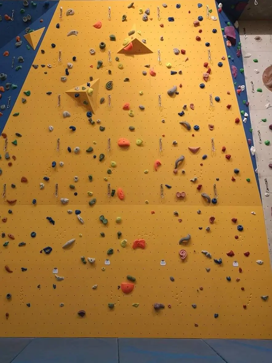 Yellow wall panel set with coloured holds and hanging quickdraws