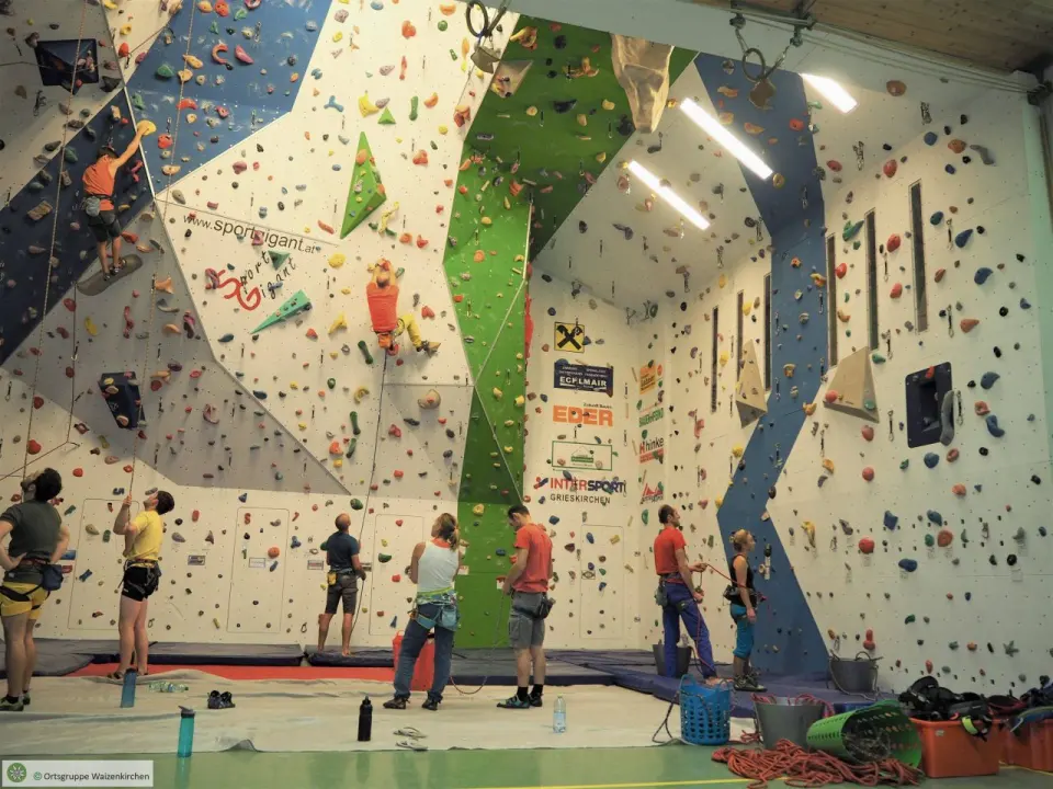 Climbers and belayers at the blue, green and white wall in the school sports hall