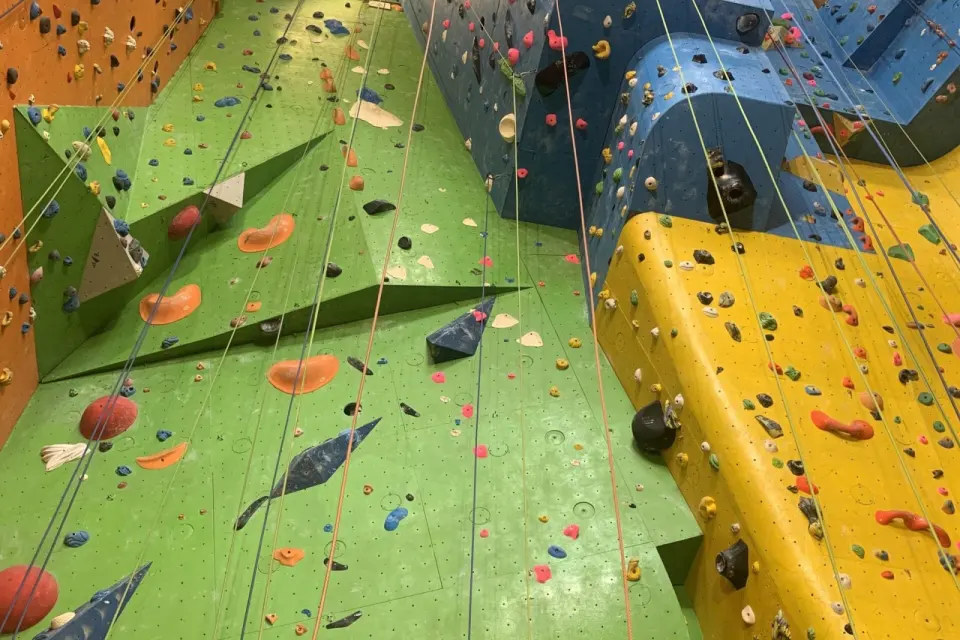 Ropes hanging down tall green, blue and yellow lead walls with overhangs