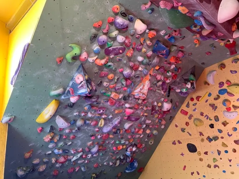 Steep board wall densely covered in holds and volumes